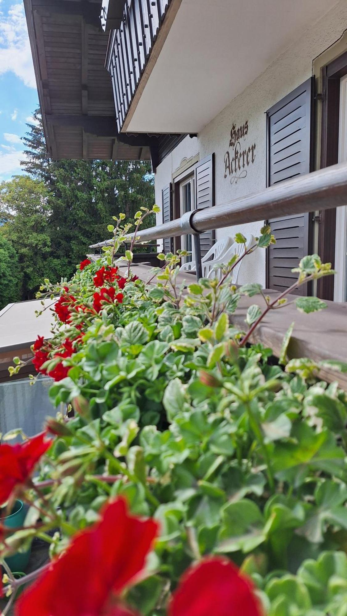 Haus Ackerer Daire Leogang Dış mekan fotoğraf